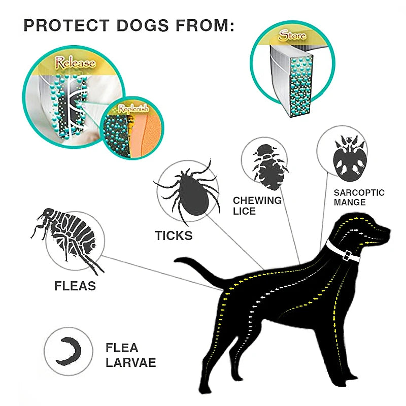 Pulseira Anti-pulgas para Gatos e Cachorros